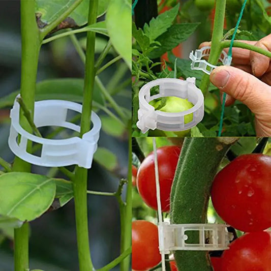 🍃【100/200 sztuk】Plastikowy uchwyt do roślin do pomidorów, wiszący kratownicowy, wiązanie roślin do dekoracji ogrodu warzywnego w szklarni 